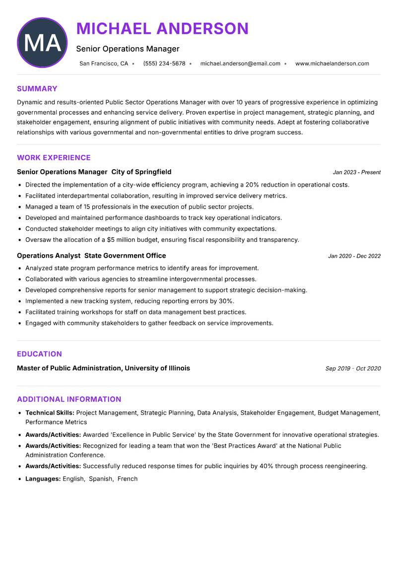 Public Sector Operations Manager Resume Preview Example