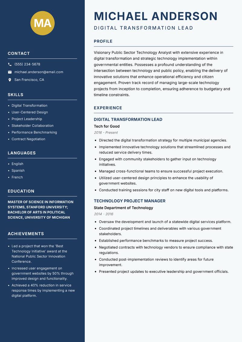 Public Sector Technology Analyst Resume Preview Example