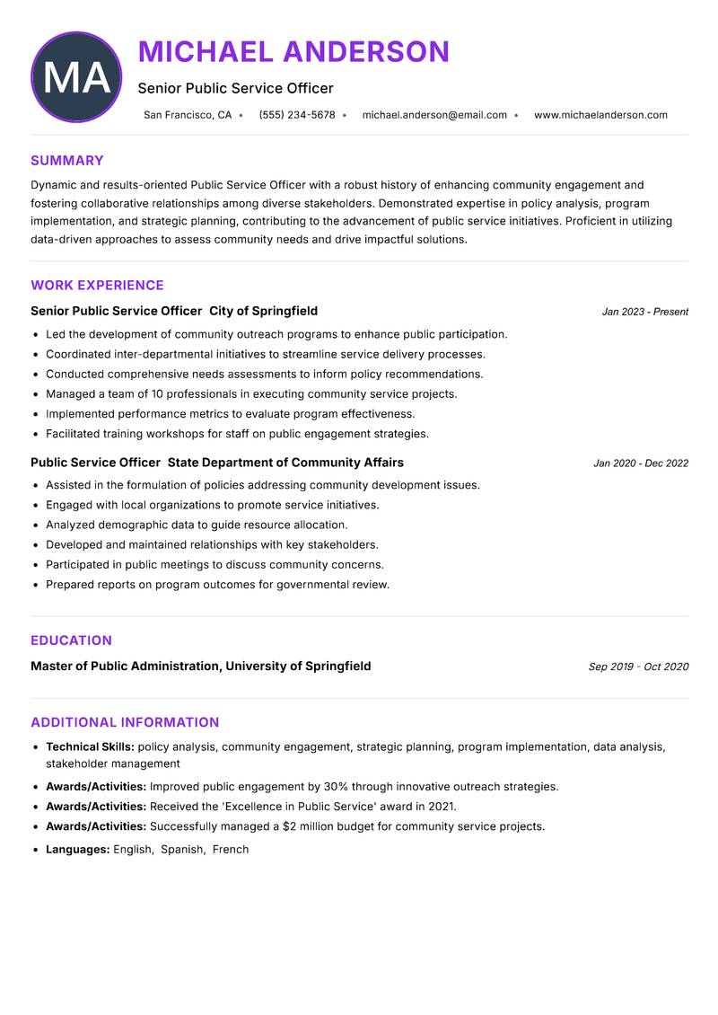 Public Service Officer Resume Preview Example