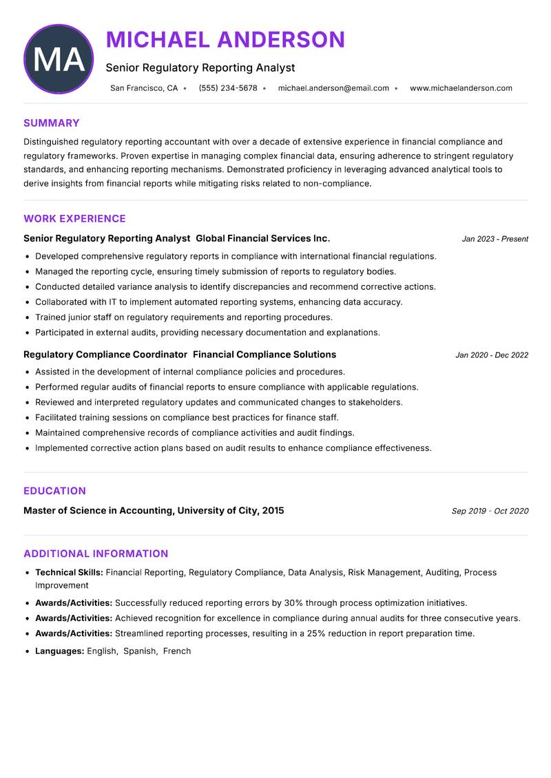 Regulatory Reporting Accountant Resume Preview Example