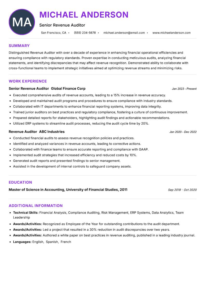 Revenue Auditor Resume Preview Example