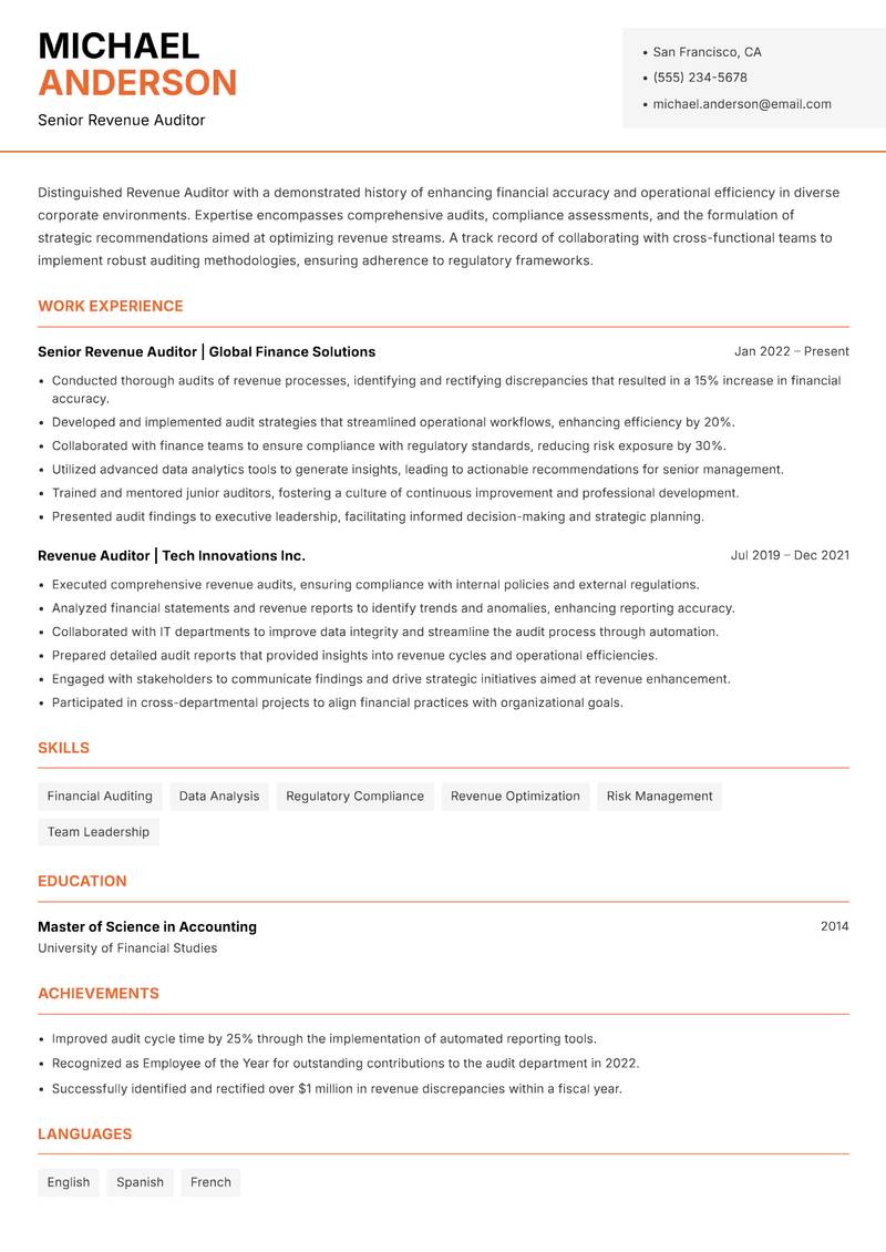 Revenue Auditor Resume Template