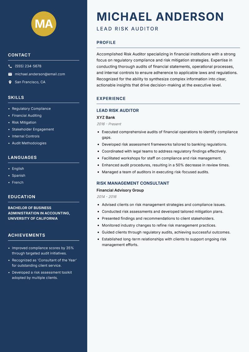 Risk Auditor Resume Preview Example