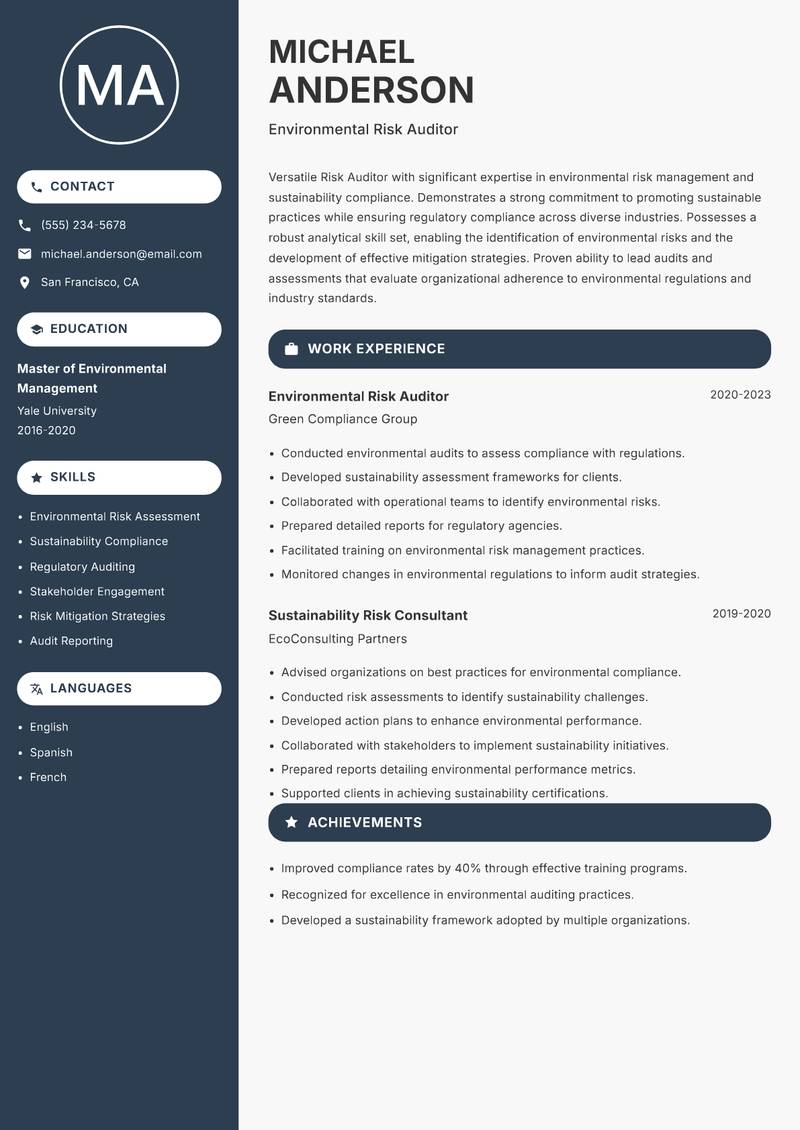 Risk Auditor Resume Preview Example