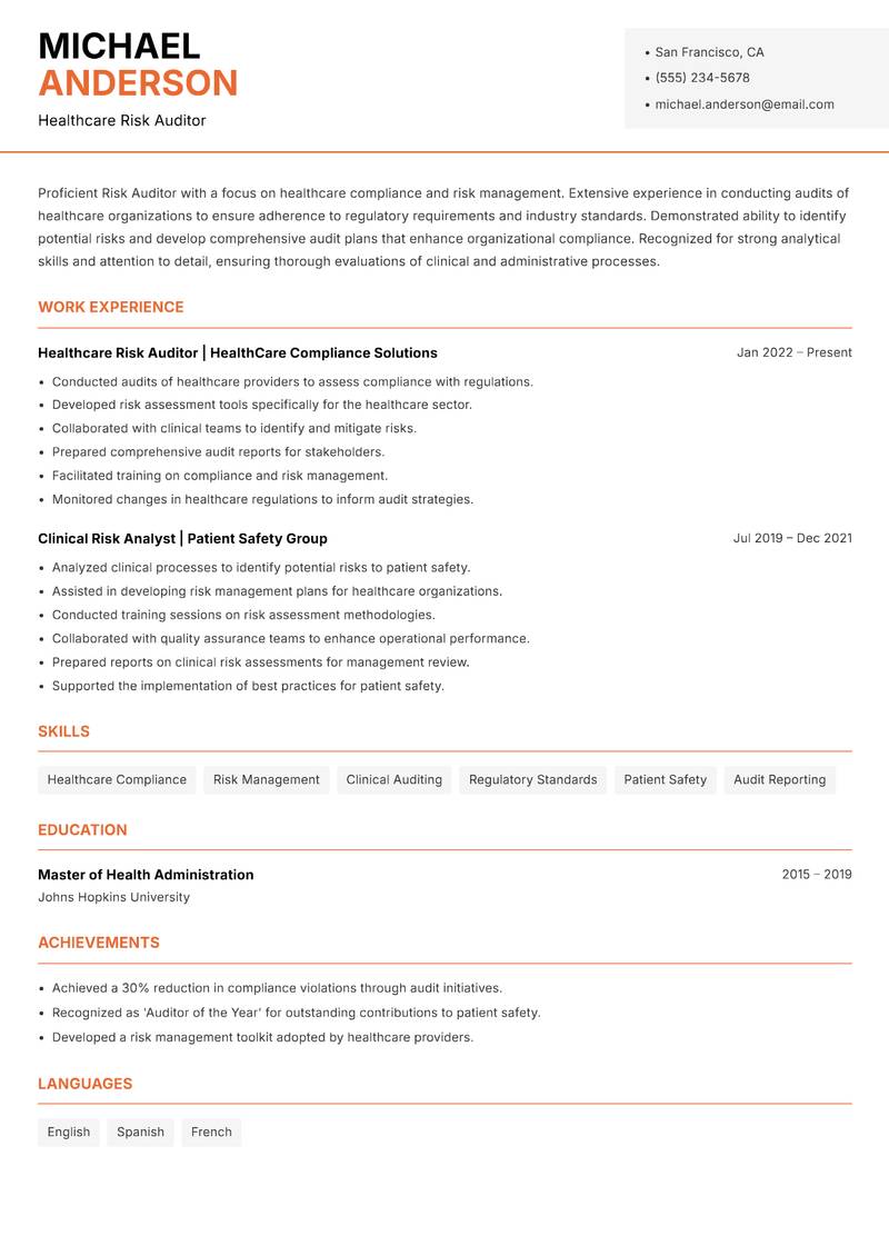 Risk Auditor Resume Template