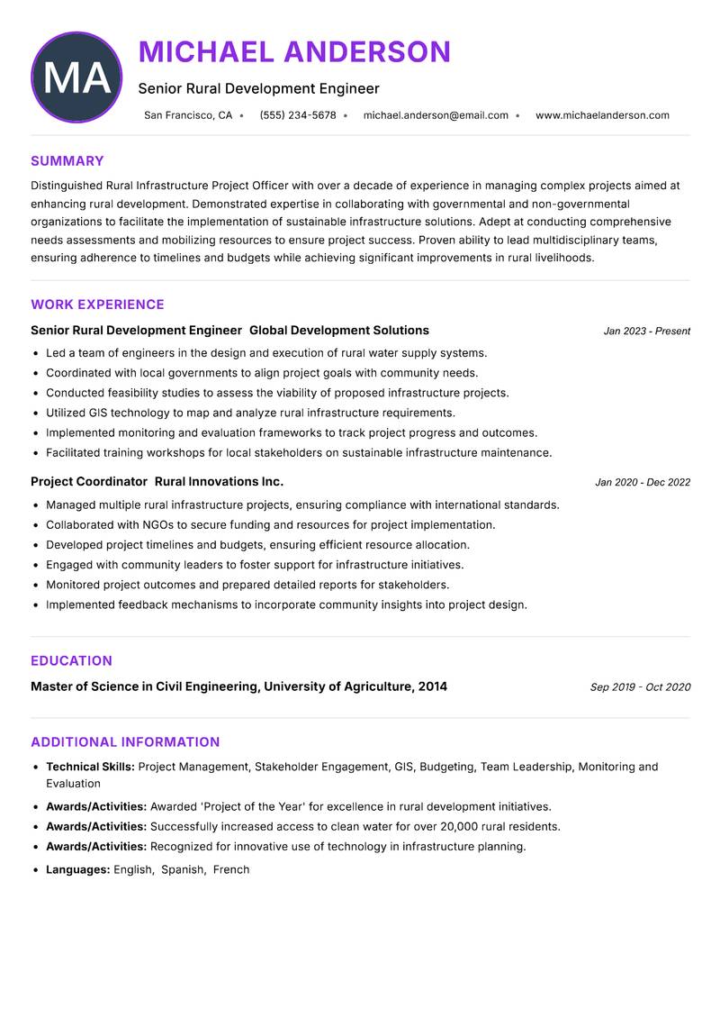 Rural Infrastructure Project Officer Resume Preview Example