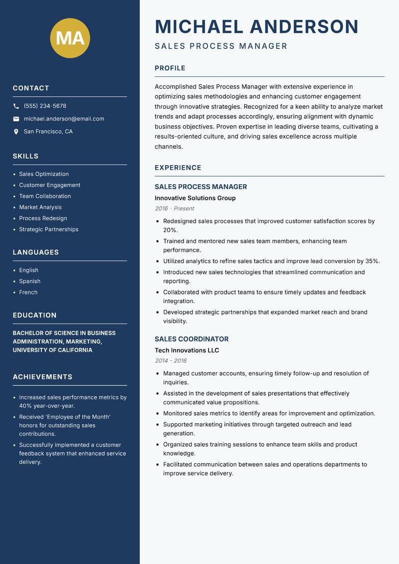 Sales Process Manager Resume Preview Example