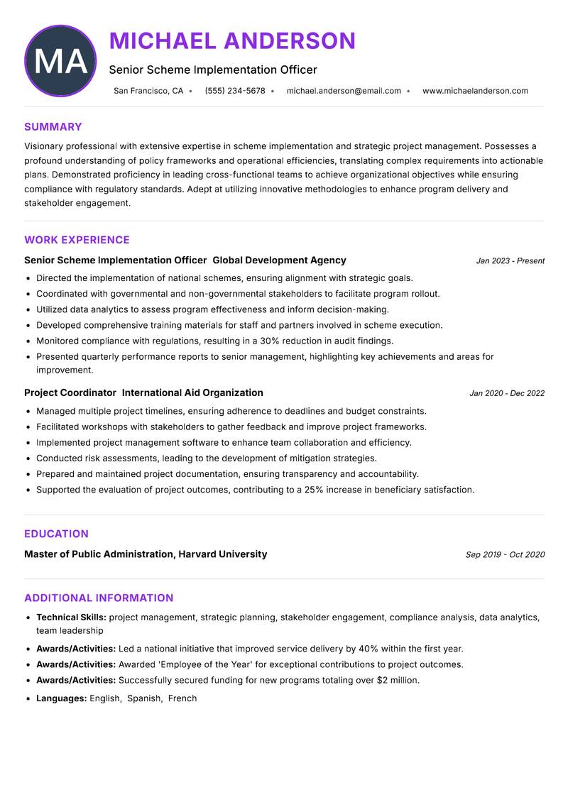 Scheme Implementation Officer Resume Preview Example