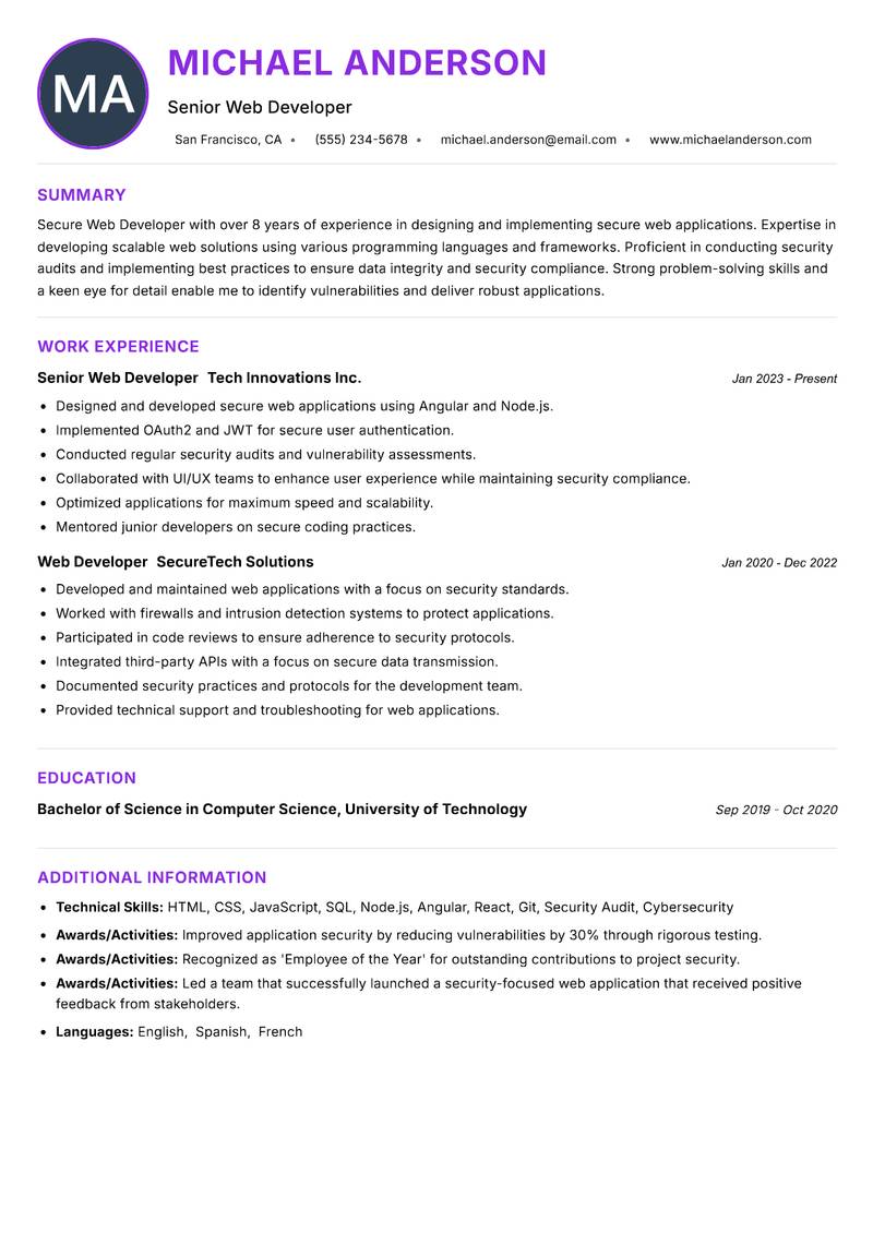 Secure Web Developer Resume Preview Example
