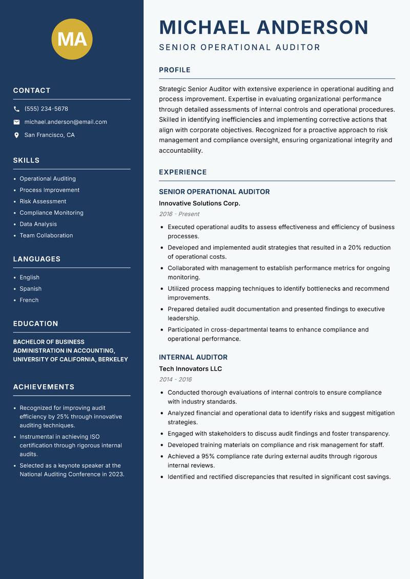 Senior Auditor Resume Preview Example