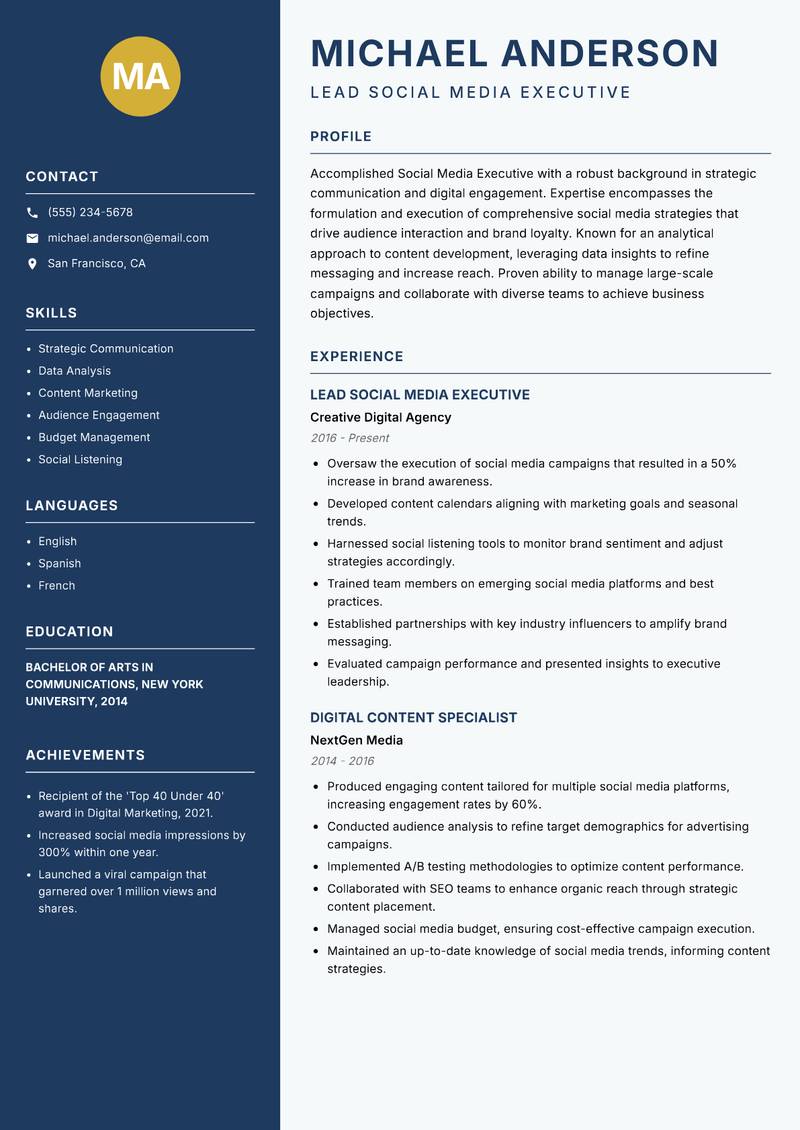 Social Media Executive Resume Preview Example