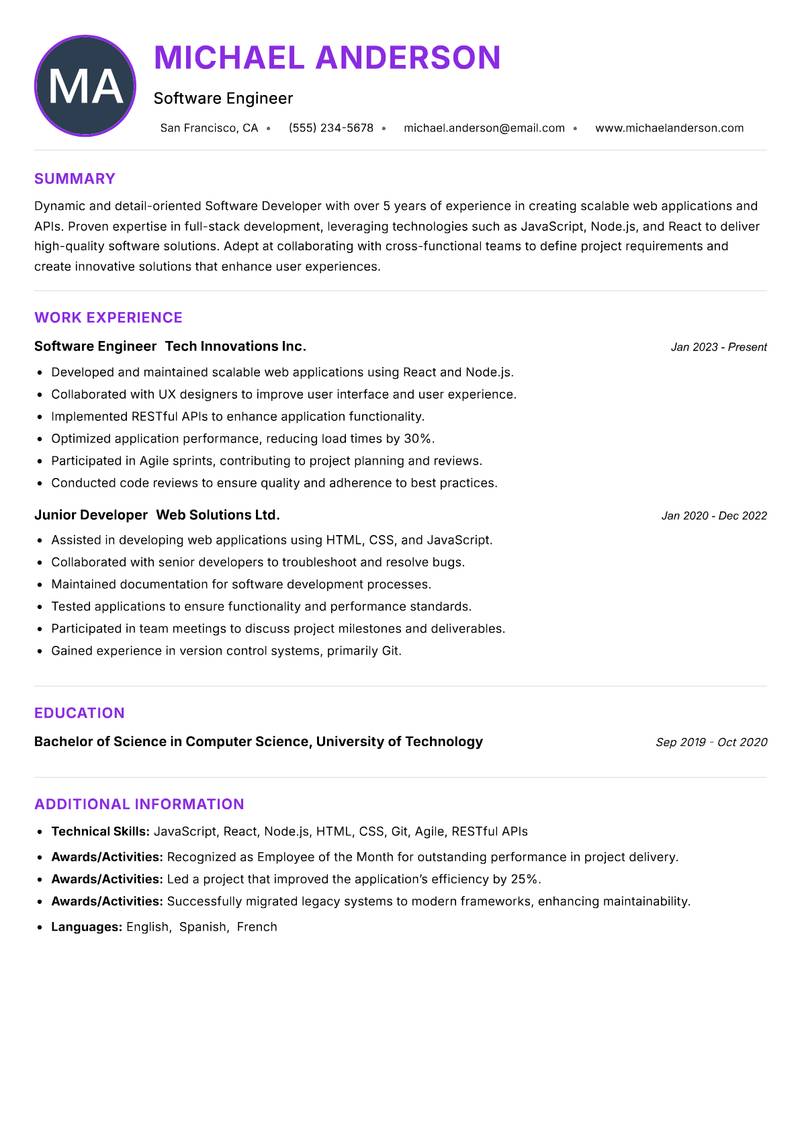 Software Developer Resume Preview Example
