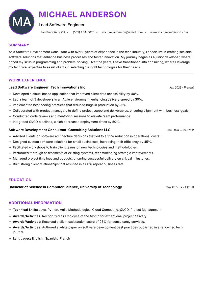 Software Development Consultant Resume Preview Example