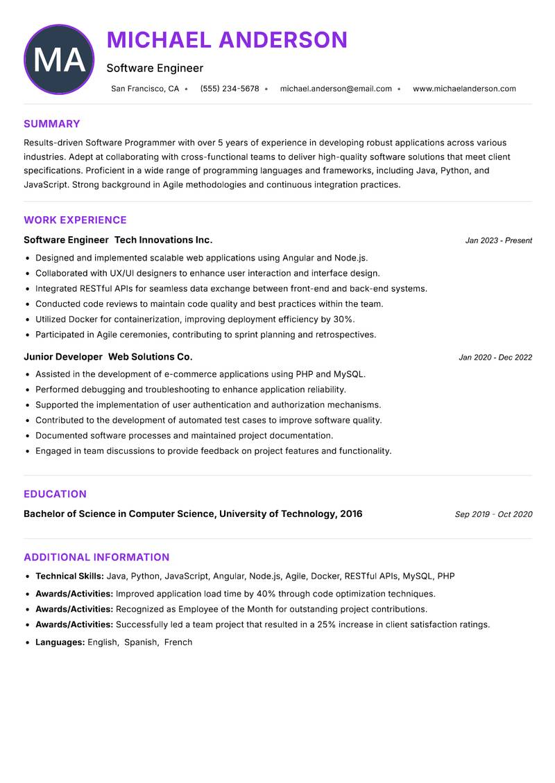Software Programmer Resume Preview Example