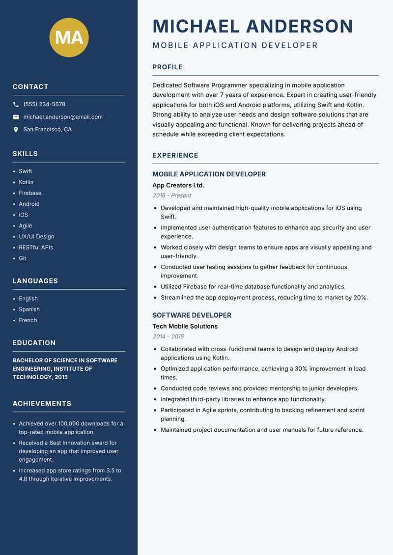 Software Programmer Resume Preview Example