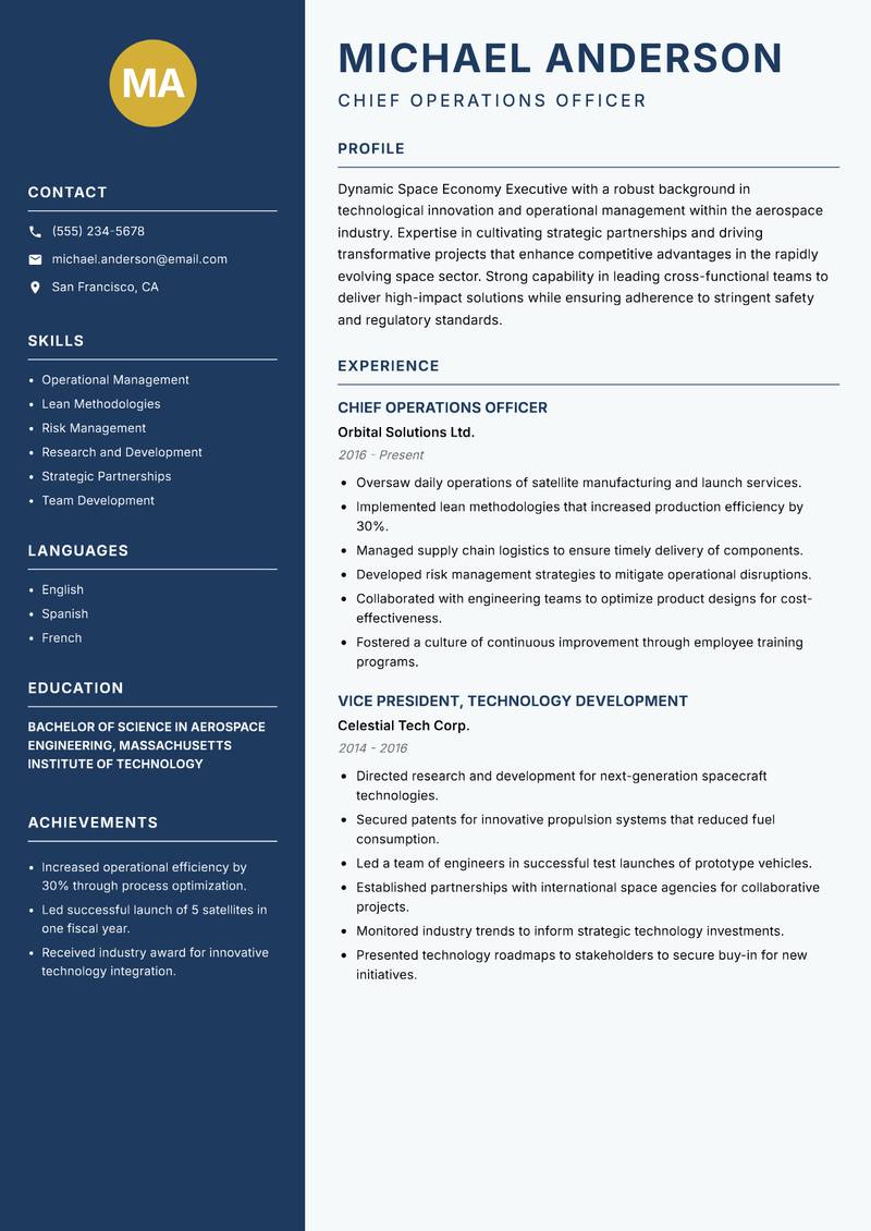 Space Economy Executive Resume Preview Example