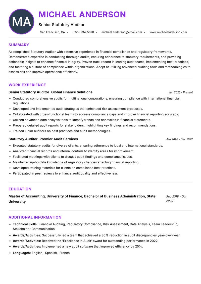 Statutory Auditor Resume Preview Example