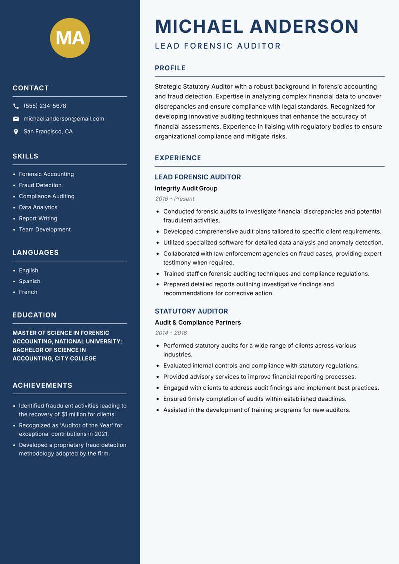 Statutory Auditor Resume Preview Example