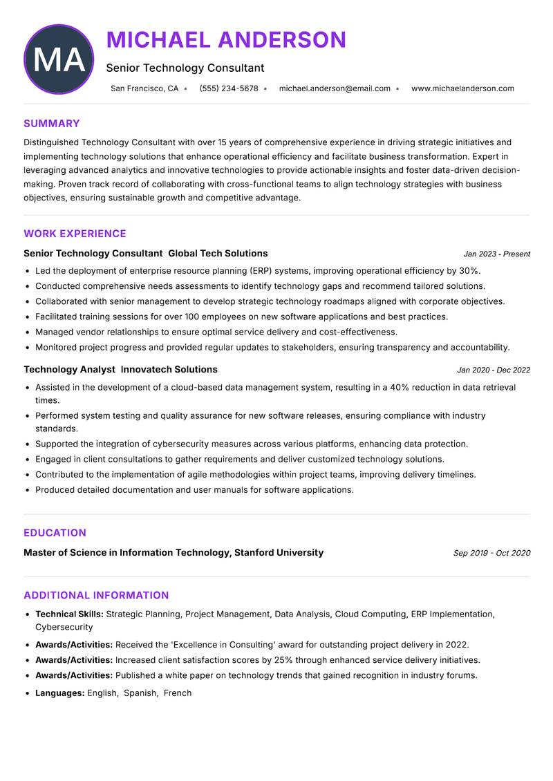Technology Consultant Resume Preview Example