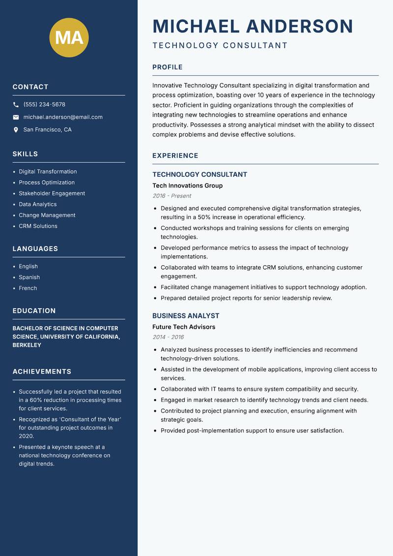 Technology Consultant Resume Preview Example