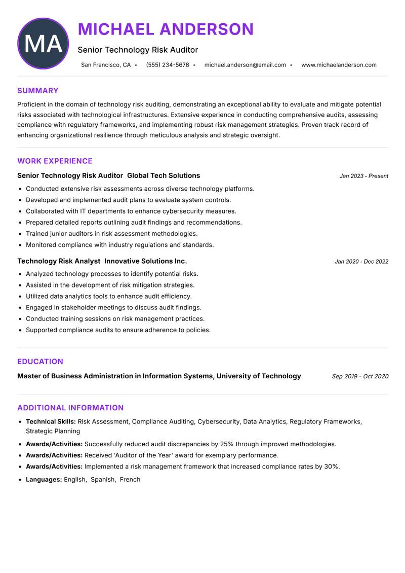 Technology Risk Auditor Resume Preview Example