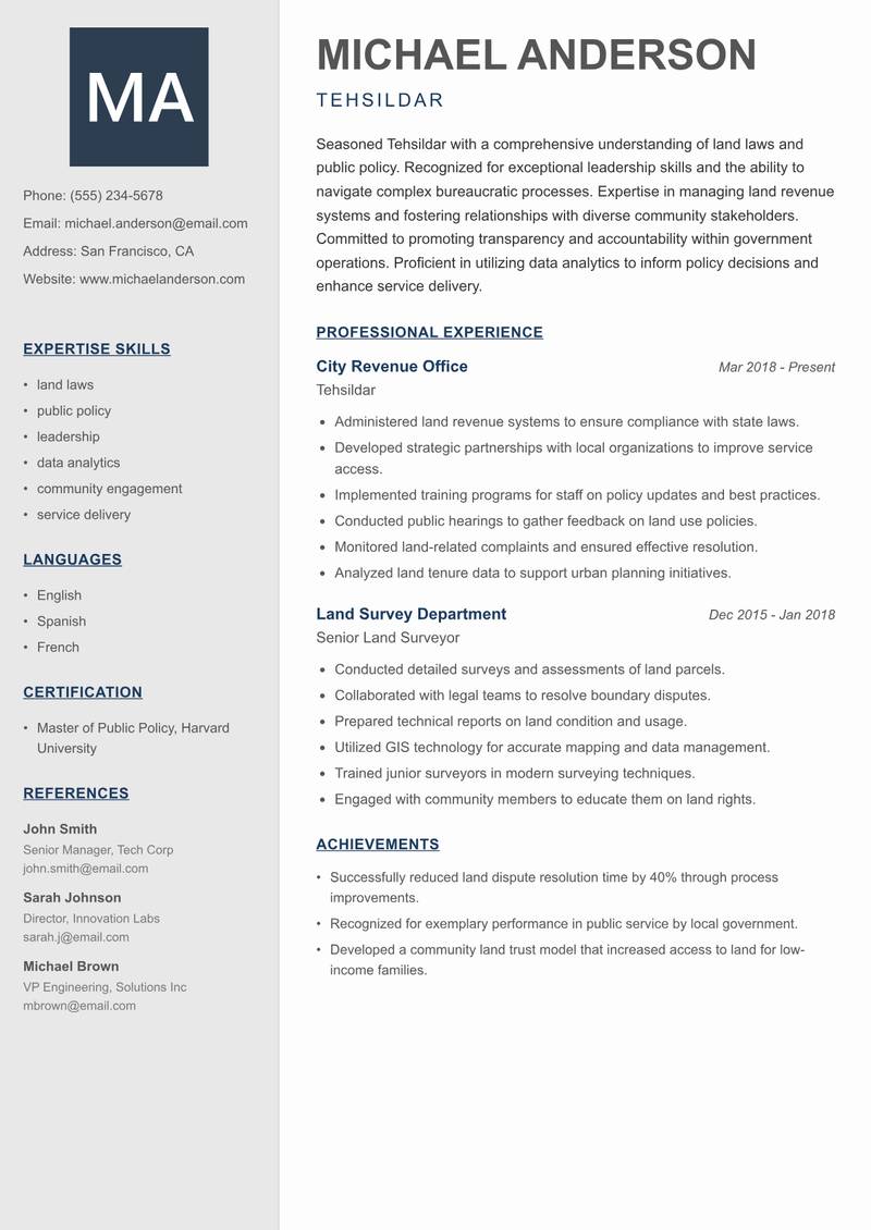 Tehsildar Resume Preview Example