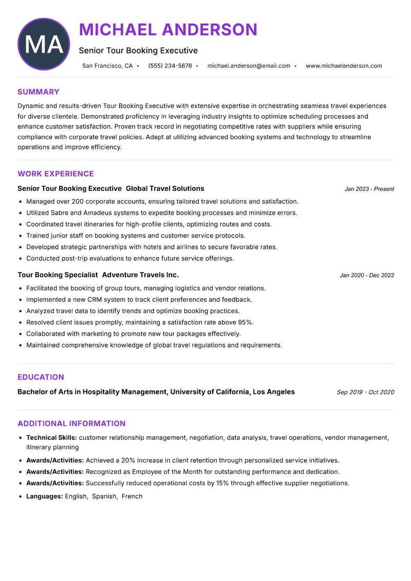 Tour Booking Executive Resume Preview Example