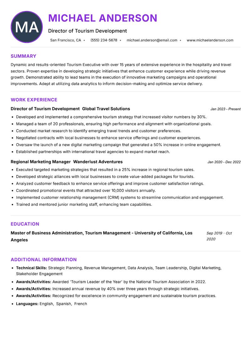 Tourism Executive Resume Preview Example