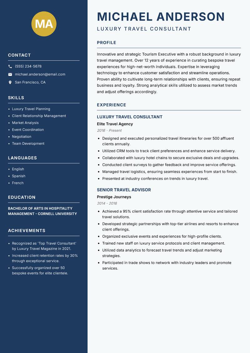 Tourism Executive Resume Preview Example