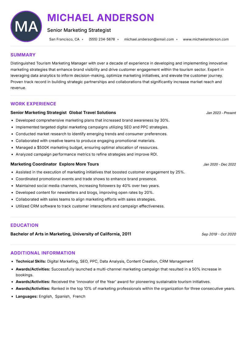 Tourism Marketing Manager Resume Preview Example