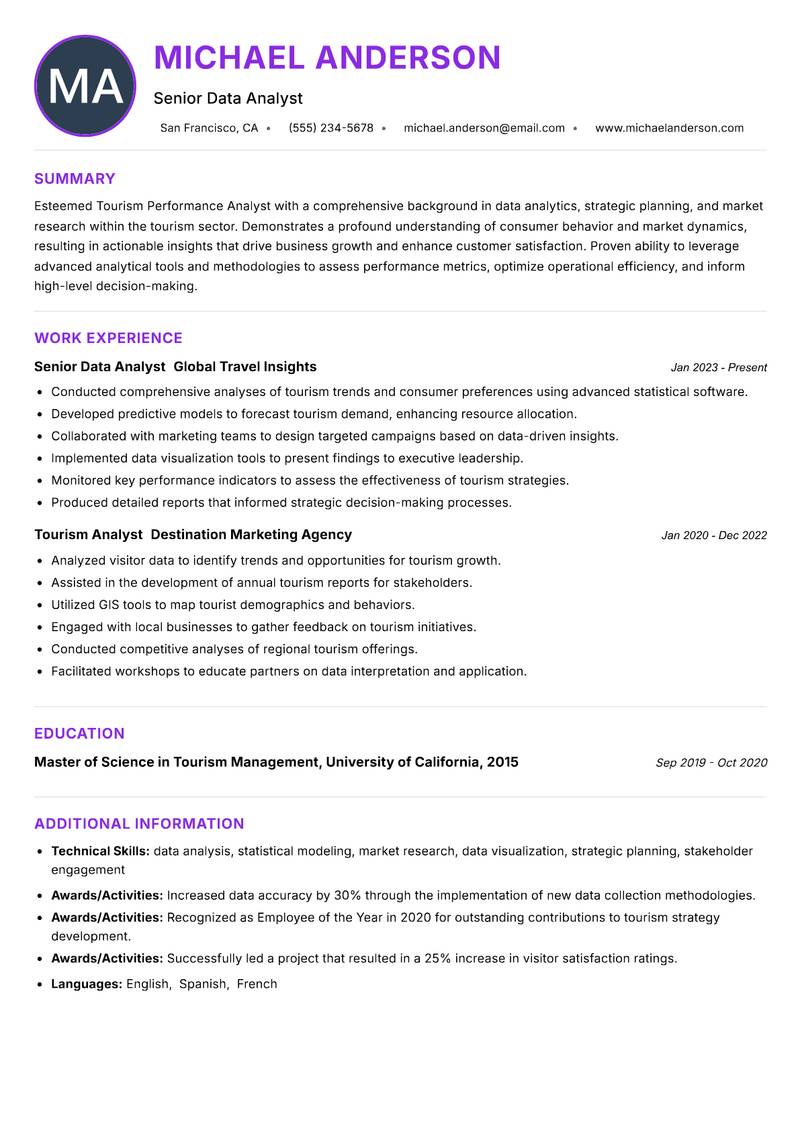 Tourism Performance Analyst Resume Preview Example