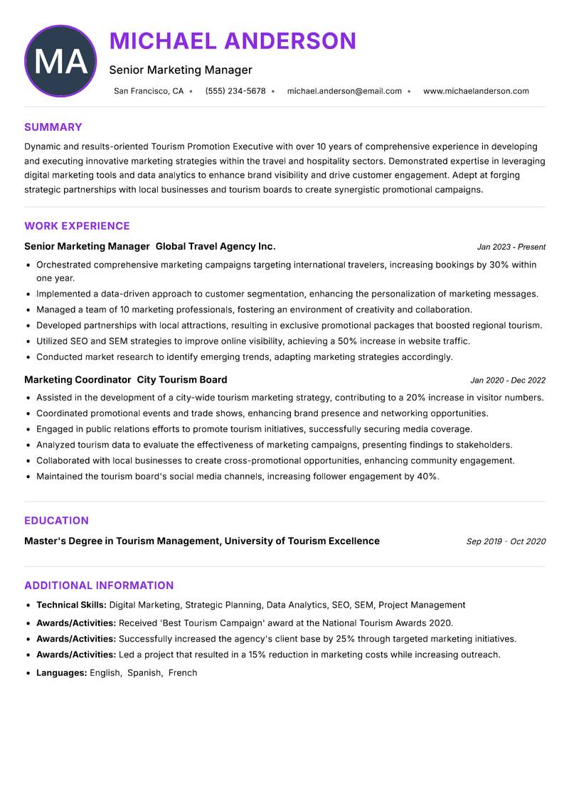 Tourism Promotion Executive Resume Preview Example