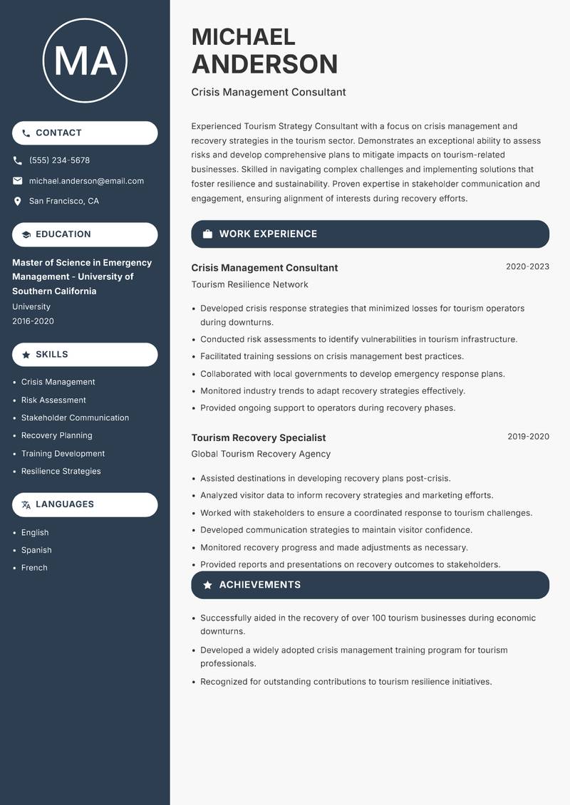 Tourism Strategy Consultant Resume Preview Example