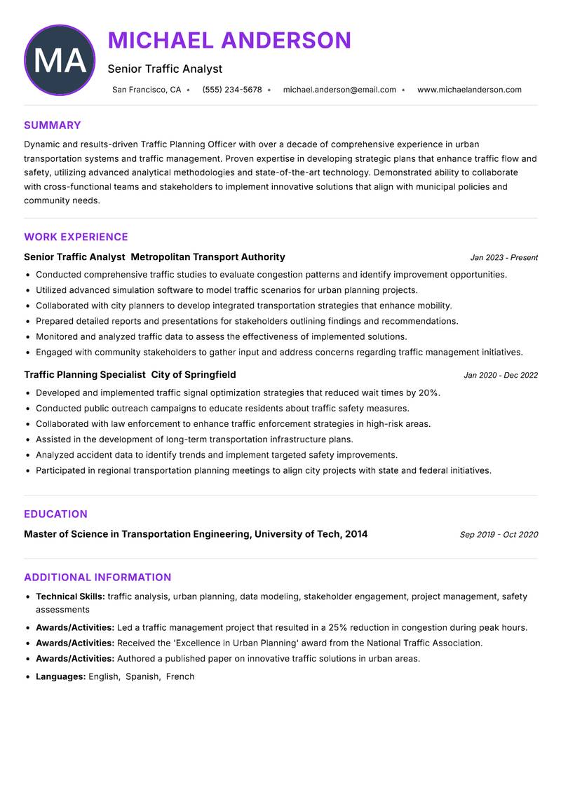 Traffic Planning Officer Resume Preview Example