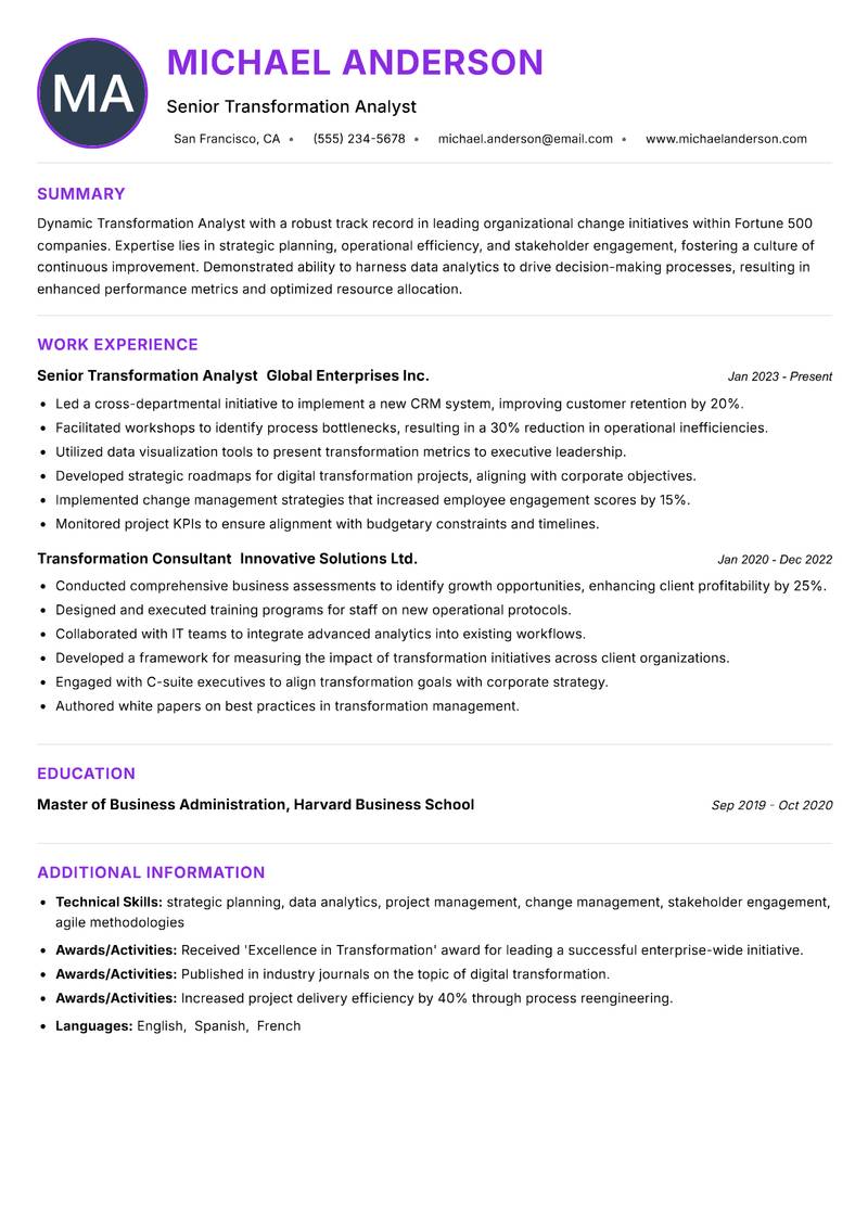 Transformation Analyst Resume Preview Example