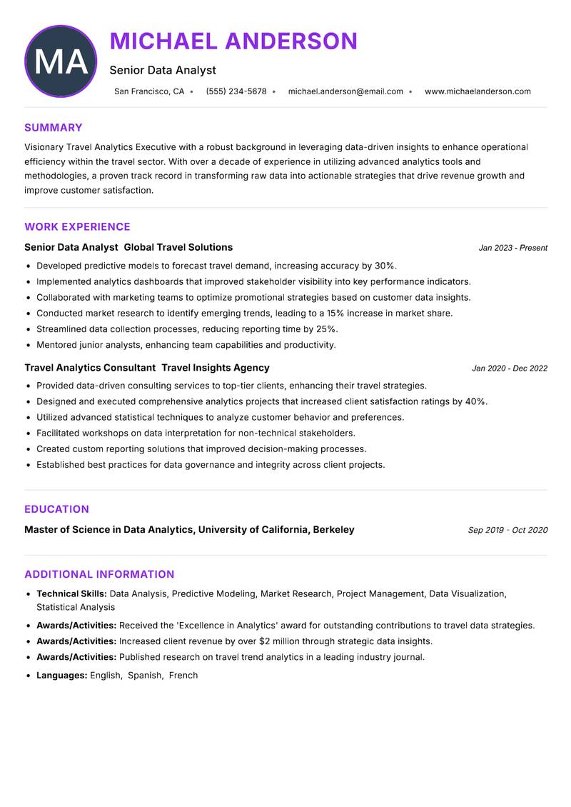 Travel Analytics Executive Resume Preview Example