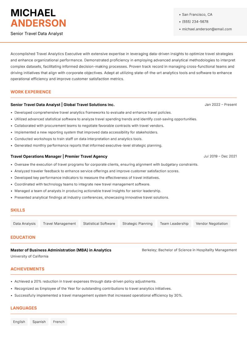 Travel Analytics Executive Resume Template