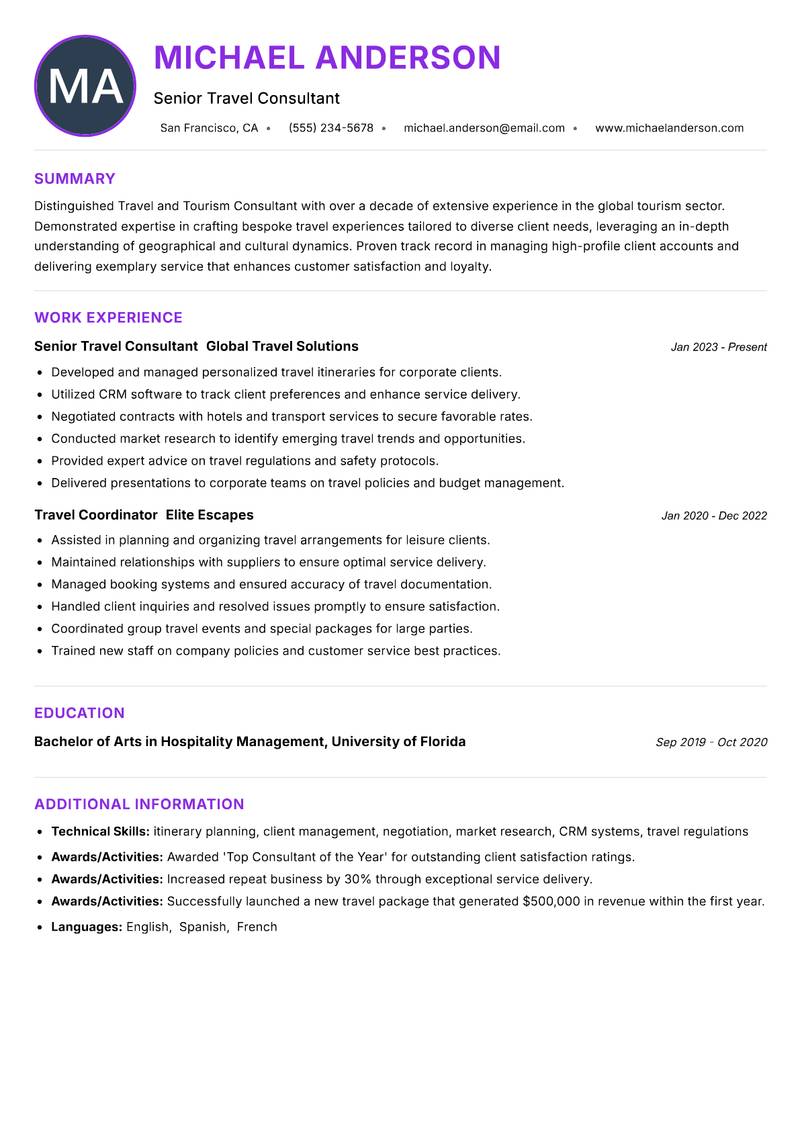 Travel and Tourism Consultant Resume Preview Example