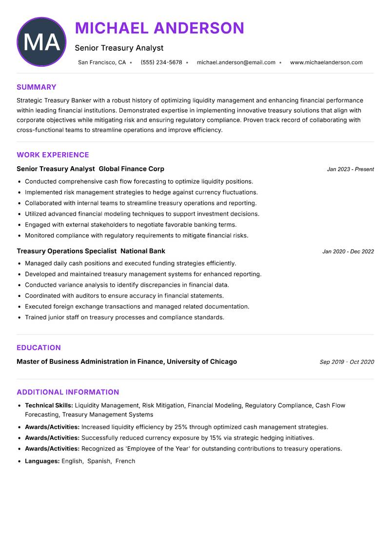Treasury Banker Resume Preview Example