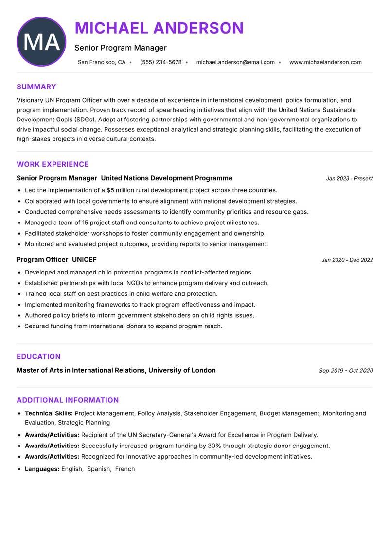 UN Program Officer Resume Preview Example