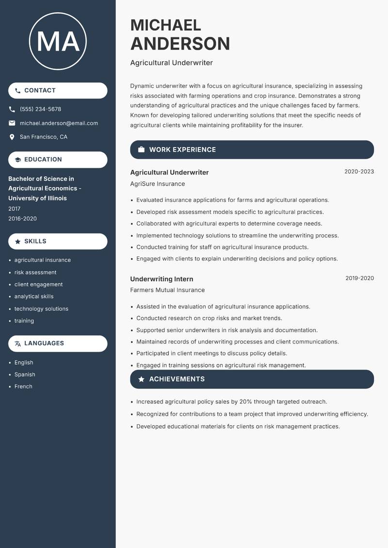 Underwriter Resume Preview Example
