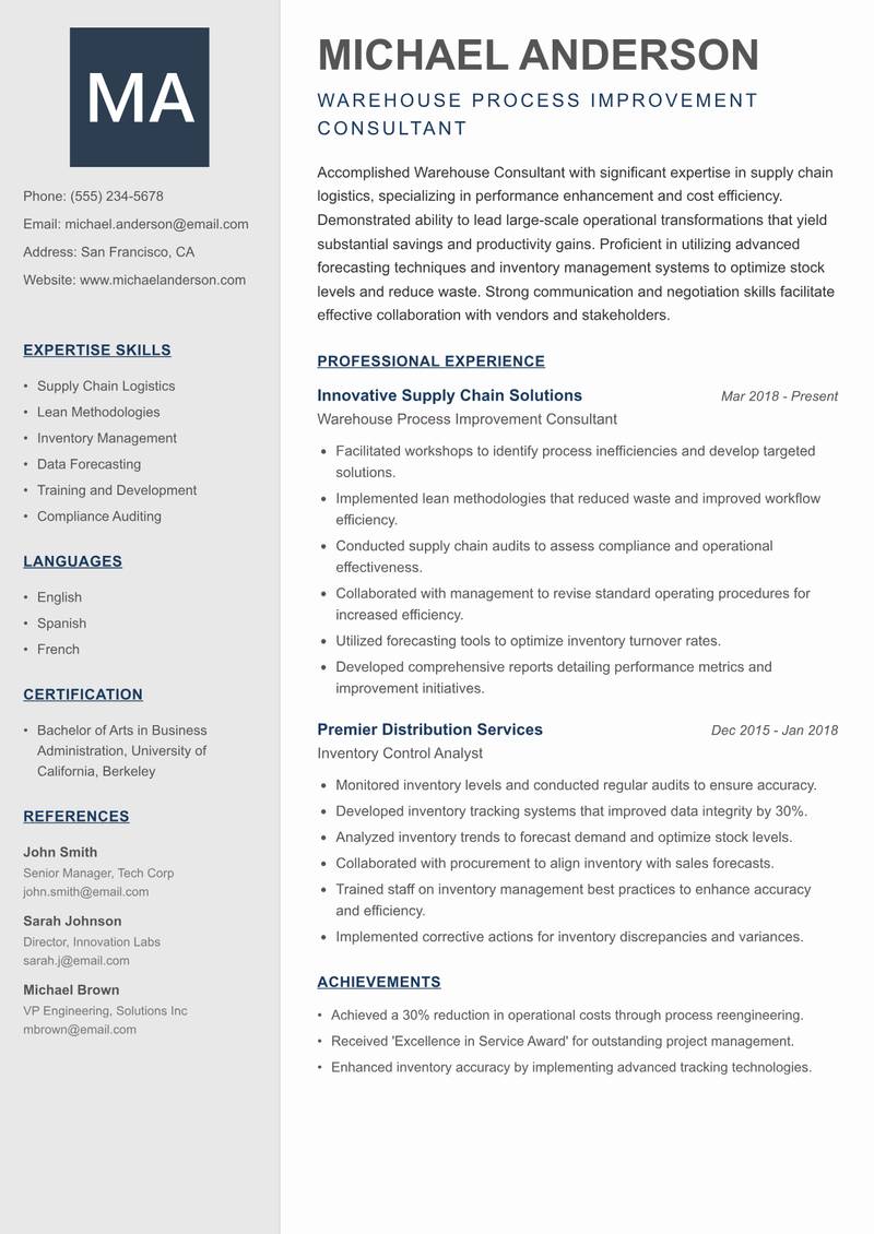 Warehouse Consultant Resume Preview Example