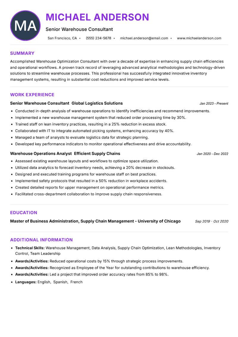 Warehouse Optimization Consultant Resume Preview Example