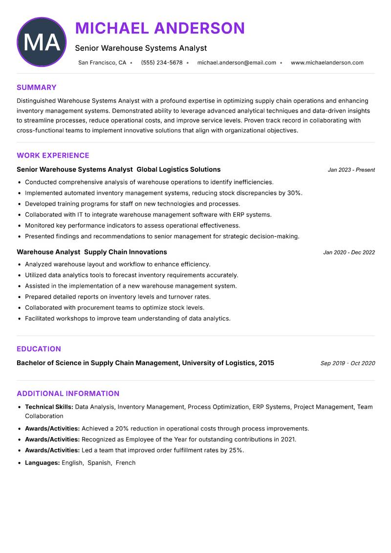 Warehouse Systems Analyst Resume Preview Example