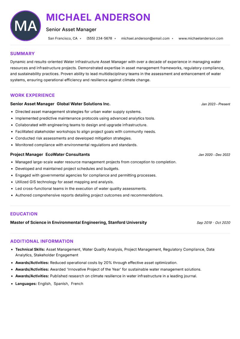 Water Infrastructure Asset Manager Resume Preview Example