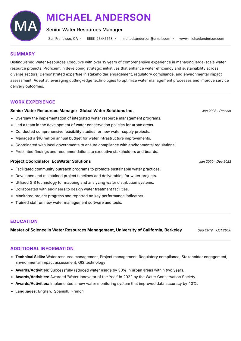 Water Resources Executive Resume Preview Example