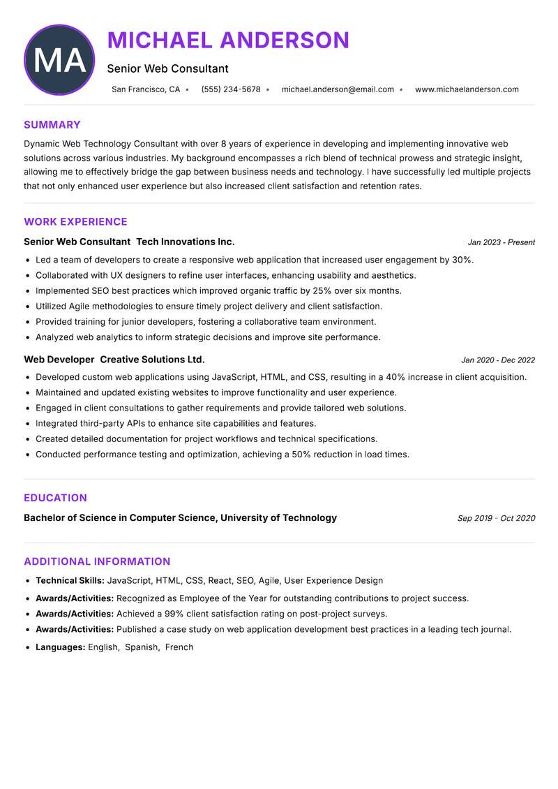 Web Technology Consultant Resume Preview Example